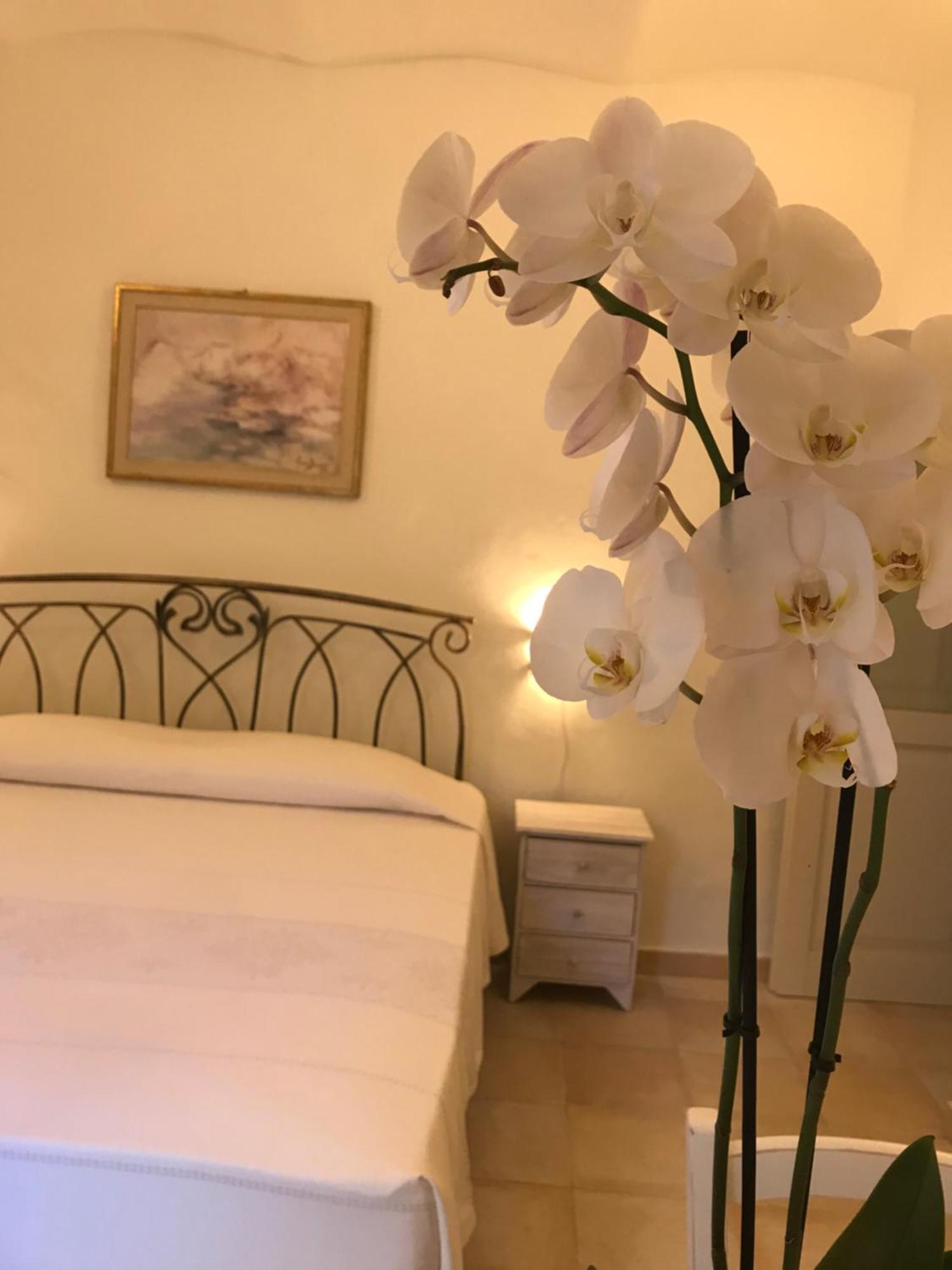 Domo Antiga Guest Rooms ソルソ エクステリア 写真